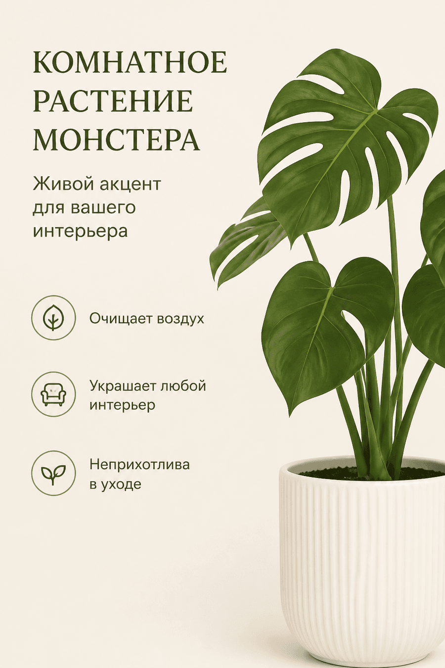 Карточка товара для Яндекс Маркета: комнатное растение монстера